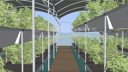 新型溫室大棚魚菜共生 工廠化循環農業的未來圖景