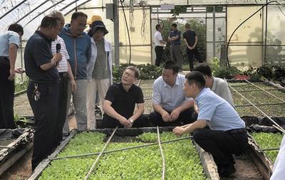 太白縣蔬菜產業調研紀實 專家賦能，擘畫高山蔬菜發展新藍圖