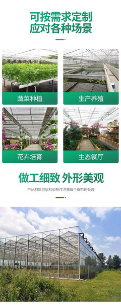 陽光智能溫室BK11 現代玻璃溫室引領蔬菜種植新潮流
